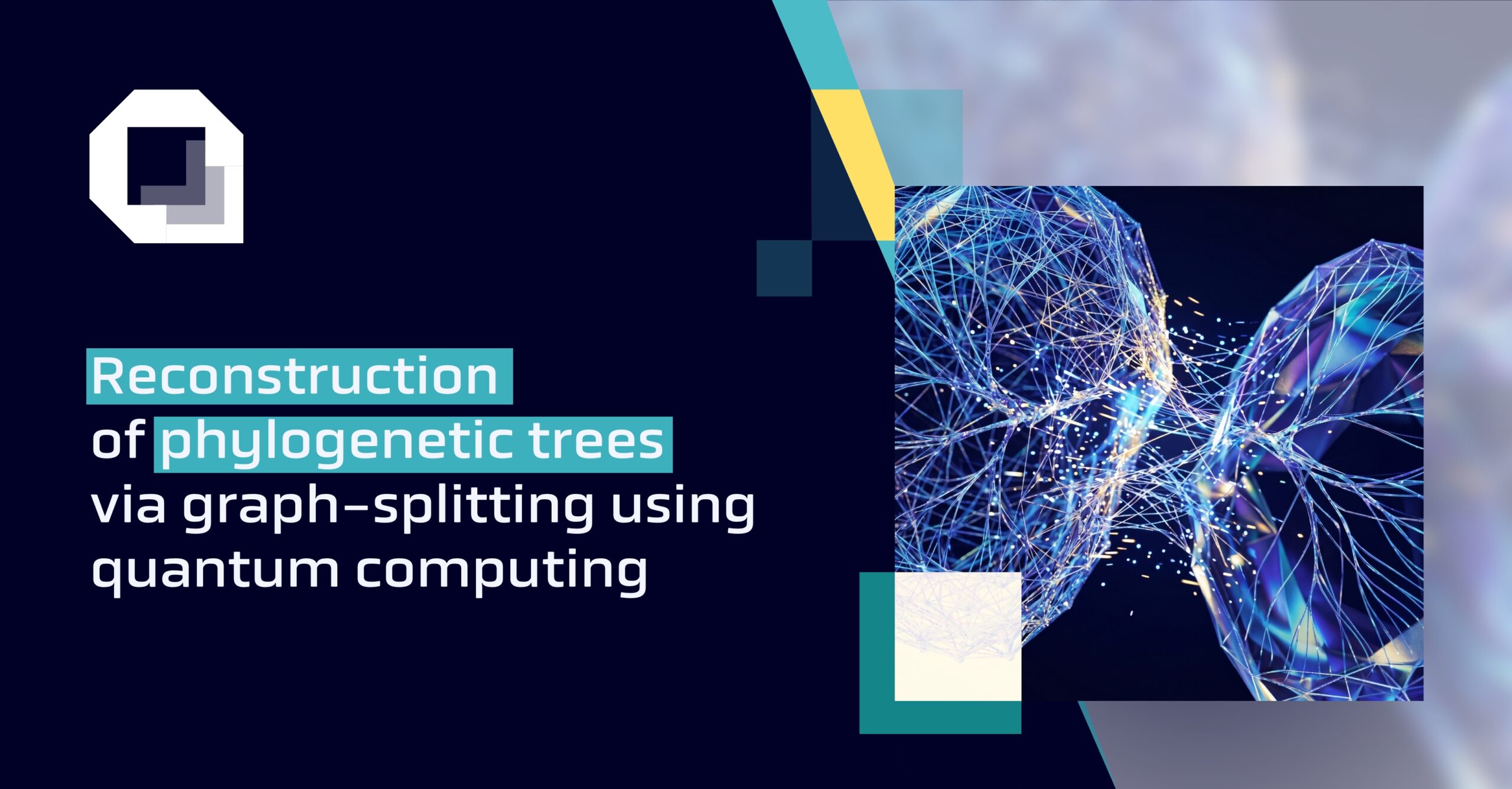 Reconstruction of phylogenetic trees via graph-splitting using quantum computing